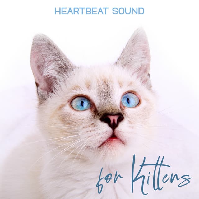 Heartbeat Sound for Kittens - Cynthia Gard
