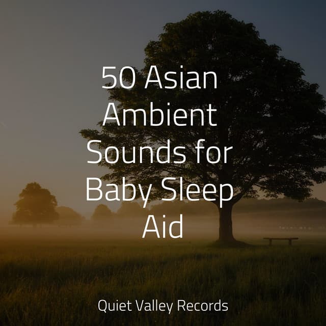 50 Asian Ambient Sounds for Baby Sleep Aid - Healing Sounds for Deep Sleep and Relaxation