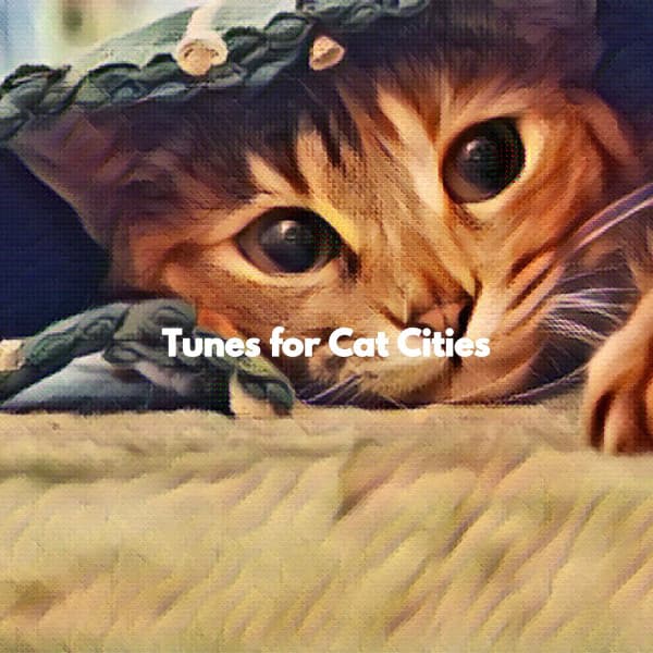 Tunes for Cat Cities - Cofeehouse Music