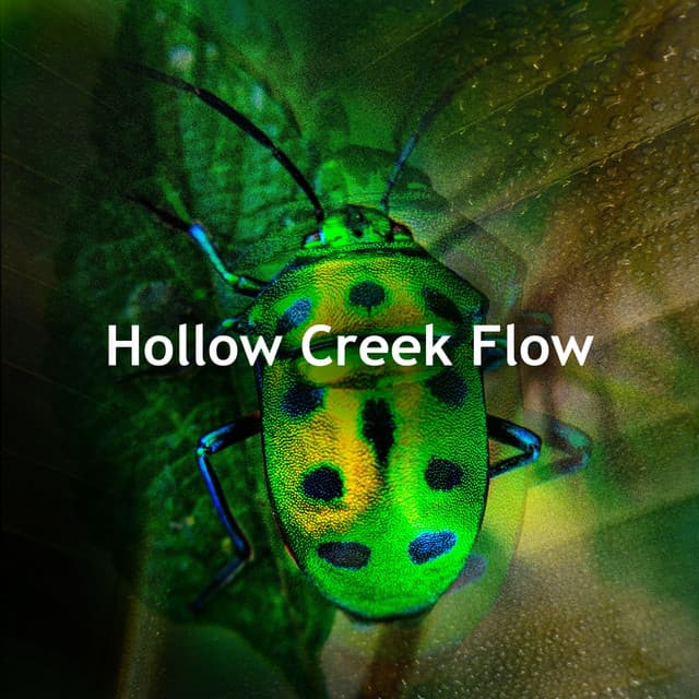Hollow Creek Flow - Night Sounds