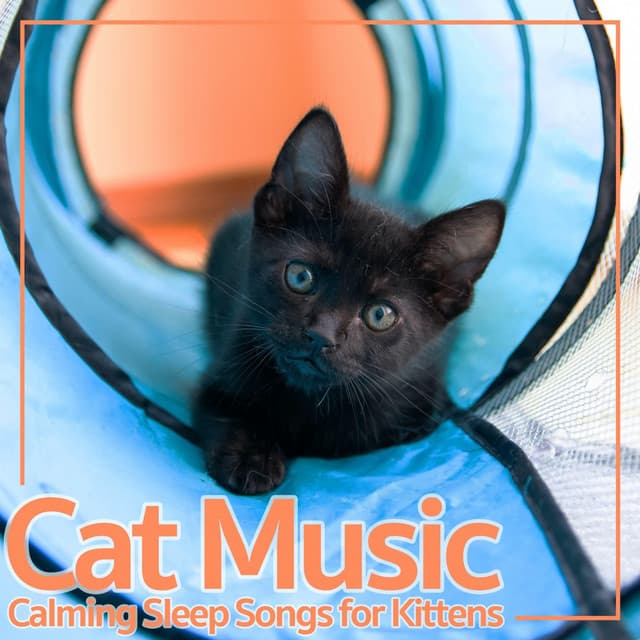 Cat Music: Calming Sleep Songs for Kittens - Cat Music