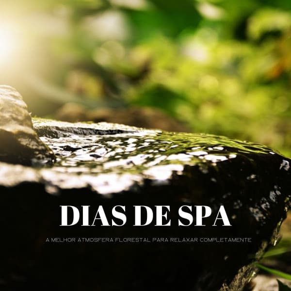Dias De Spa: A Melhor Atmosfera Florestal Para Relaxar Completamente - Música Zen Relaxante