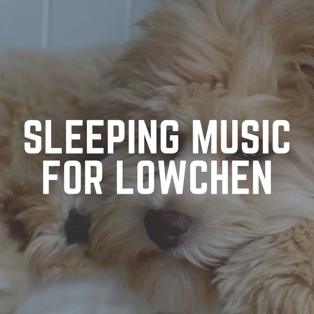 Sleeping Music for Lowchen - Sleeping Music For Dogs
