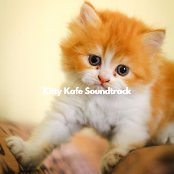 Kitty Kafe Soundtrack - Relaxing Coffee Shop