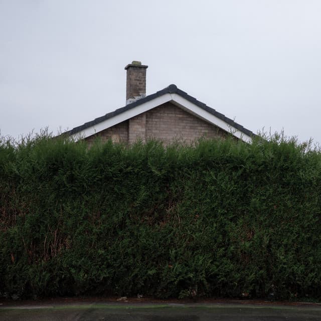 Still... At Their Very Best - The 1975