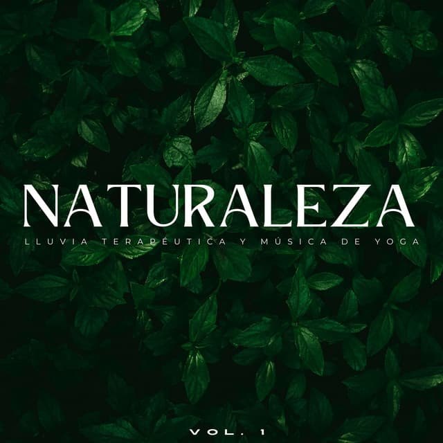 Naturaleza: Lluvia Terapéutica Y Música De Yoga Vol. 1 - Sonidos de lluvia y sonidos de la naturaleza