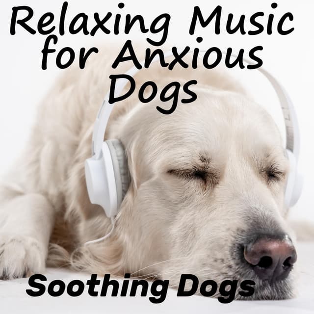 Relaxing Music For Anxious Dogs - Soothing Dogs