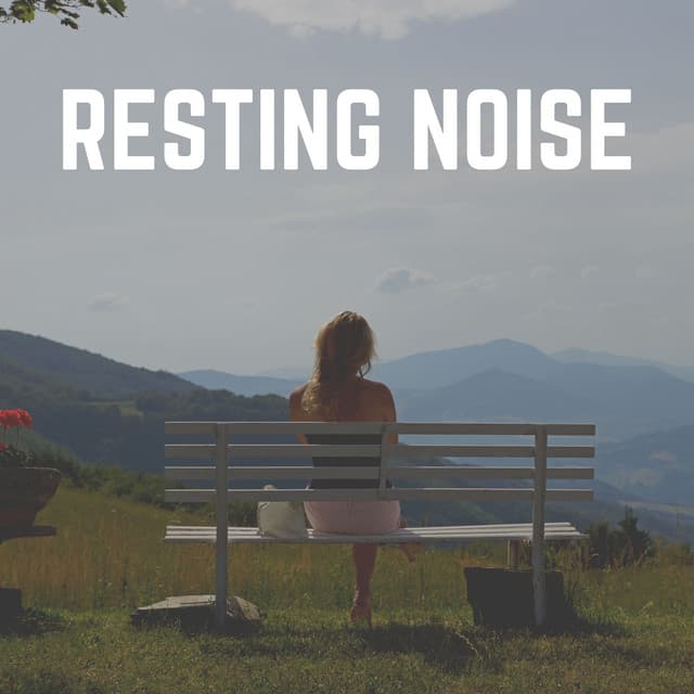 Resting Noise - Loopable White Noise