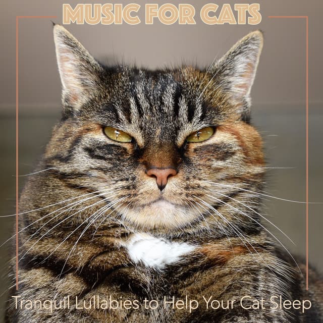 Music for Cats: Tranquil Lullabies to Help Your Cat Sleep - RelaxMyCat