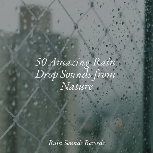50 Amazing Rain Drop Sounds from Nature - Anxiety Relief