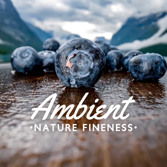 Ambient Nature Fineness - Nature Collection