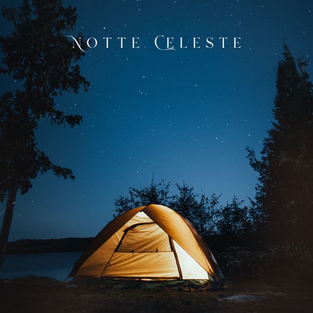 Notte Celeste: Echi dell’Universo - Relax ambientale musica zen club