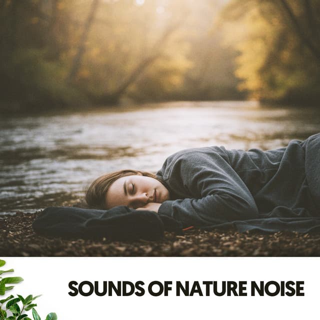 Sounds of Nature Noise: Tranquil Showers of Serenity - Cat Music Therapy