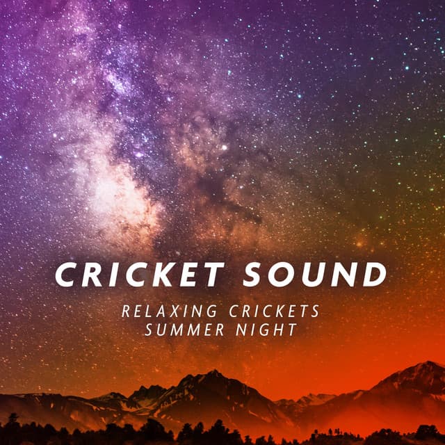 Cricket Sound