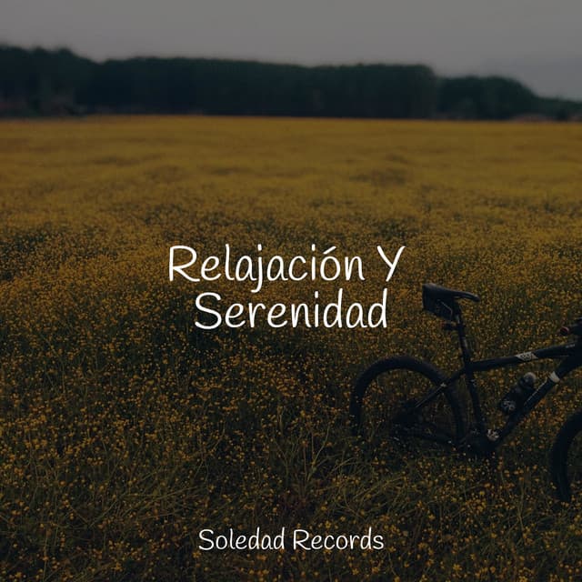 Relajación Y Serenidad - Canción de Cuna