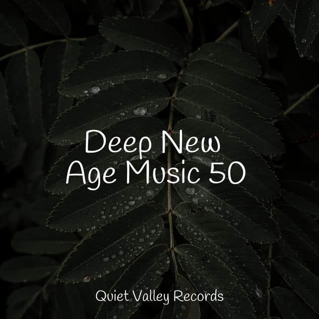 Deep New Age Music 50 - meditacou musica ambiente