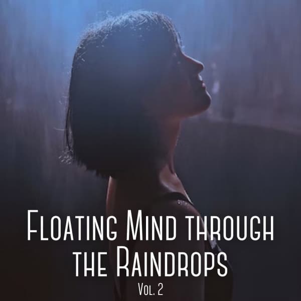 Floating Mind through the Raindrops Vol. 2 - Asian Zen Spa Music Experience