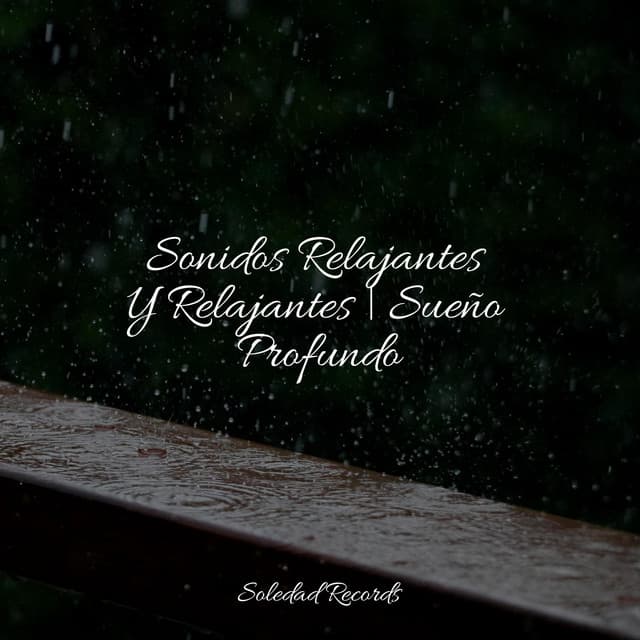 Sonidos Relajantes Y Relajantes | Sueño Profundo - Relajante Academia de Música Zen