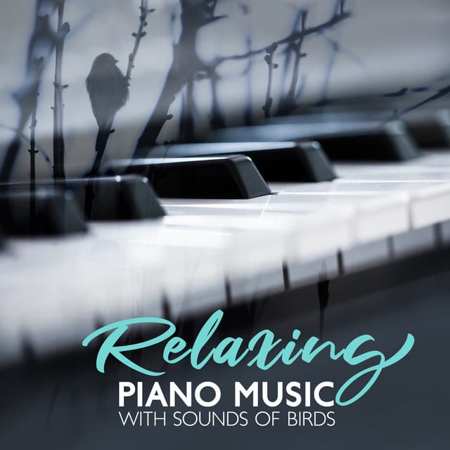 Relaxing Piano Music with Sounds of Birds for Meditation: Study, Harmony and Serenity - Relaxation Area