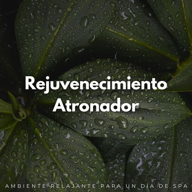 Rejuvenecimiento Atronador: Ambiente Relajante Para Un Día De Spa - El sonido del trueno
