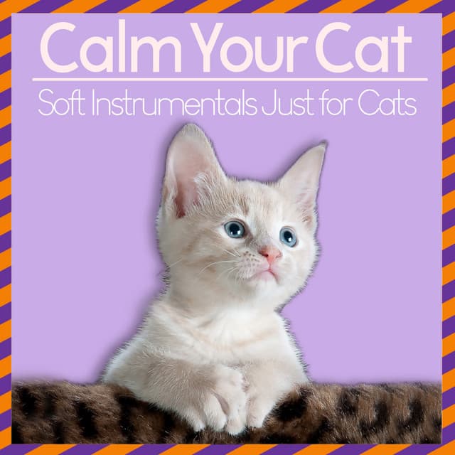 Calm Your Cat - Soft Instrumentals Just for Cats - Music For Pets