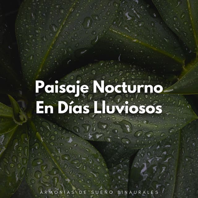 Paisaje Nocturno En Días Lluviosos: Armonías De Sueño Binaurales - Sonidos de lluvia para dormir