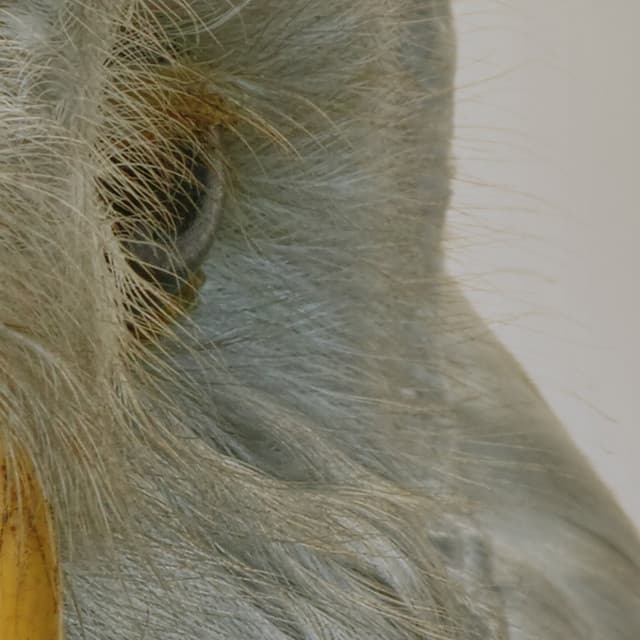 365 Complete Works 19 - Aidan O'Rourke