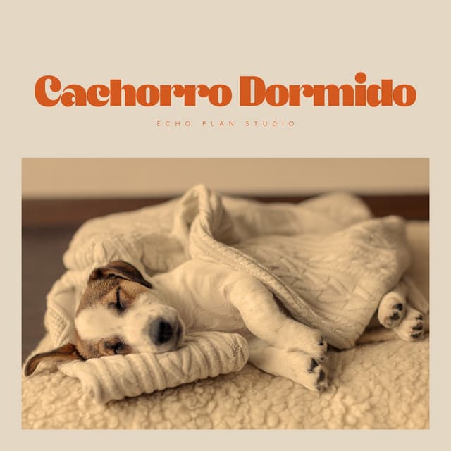 Cachorro Dormido - Música Pura Para Perros