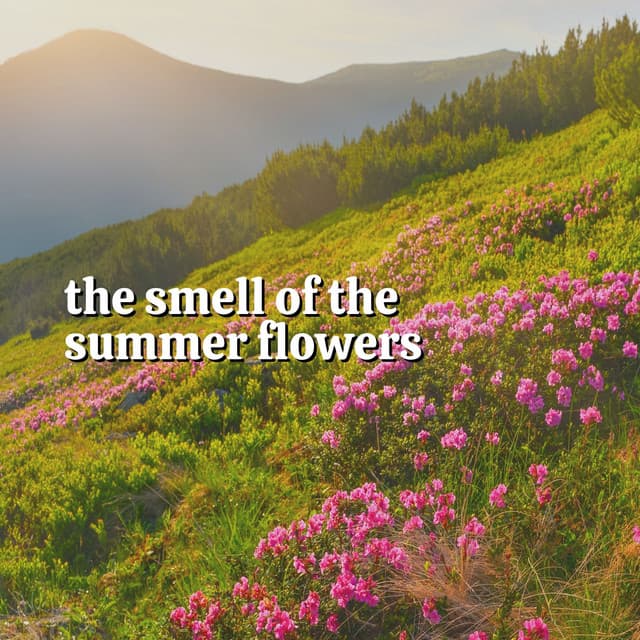The Smell of the Summer Flowers - Natures Orchestra
