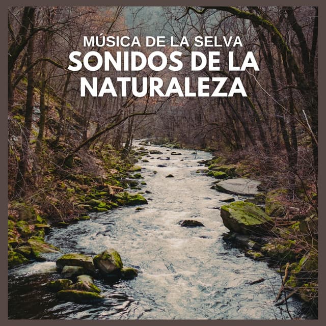 Música de la Selva: Sonidos de la Naturaleza - Sonidos De La Selva