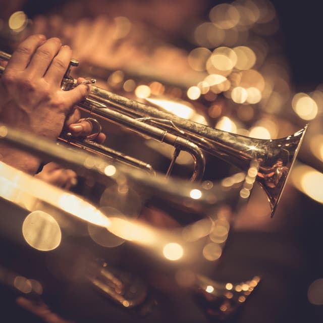 Gentle Relaxation Orchestra: Classical Sounds - Eloy Perez