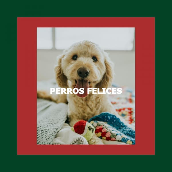 PERROS FELICES - Restaurant Jazz Classics