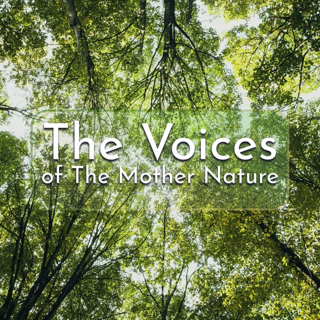 The Voices of The Mother Nature - Sounds of Nature Kingdom