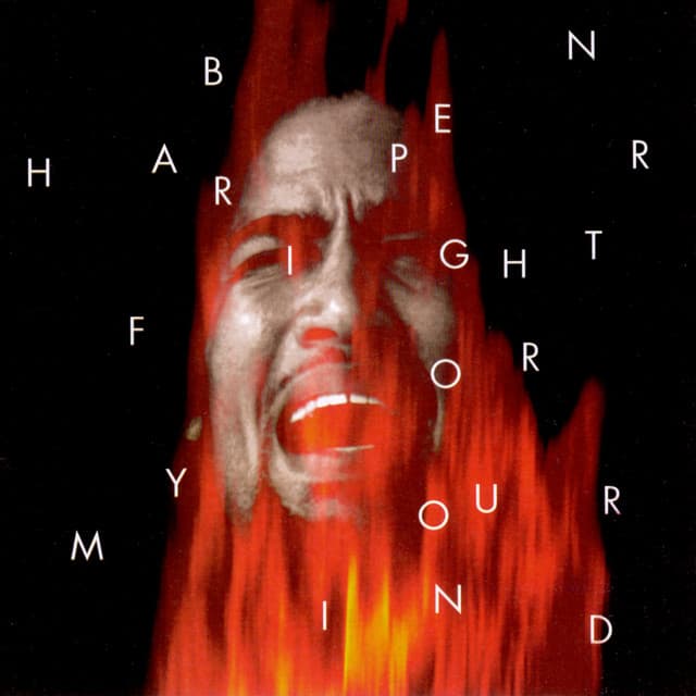 Fight For Your Mind - Ben Harper