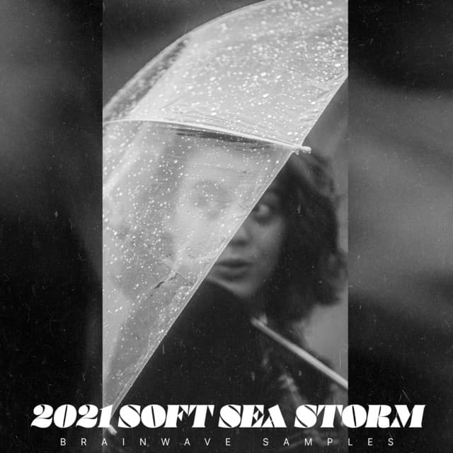 2021 Soft Sea Storm - Brainwave Samples