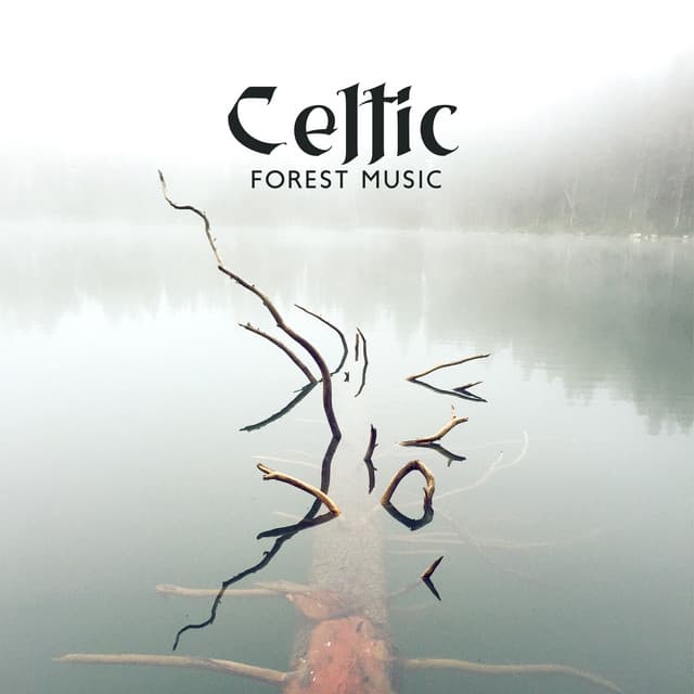 Celtic Forest Music: Calm Ambient Vibes - Forest Hills Music Universe