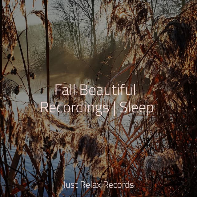 Fall Beautiful Recordings | Sleep - Thunderstorm Sound Bank