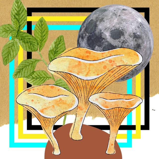 Music for Powerful Rainbows - Cafe Music Jazz Channel