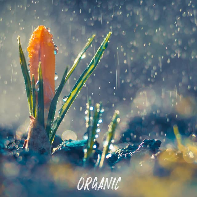 ! ! ! ! ! " Organic - Rain Sounds For Sleep