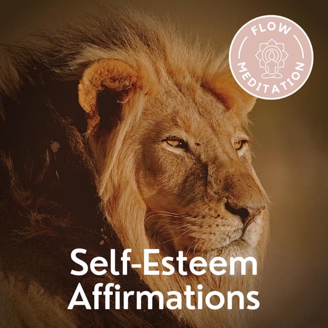 Self-Esteem Affirmations - Flow Meditation