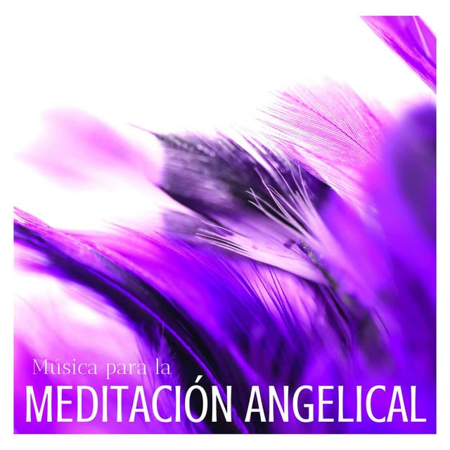 Música para la Meditación Angelical: Canciones para Alimentar el Espíritu - Meditación Maestro