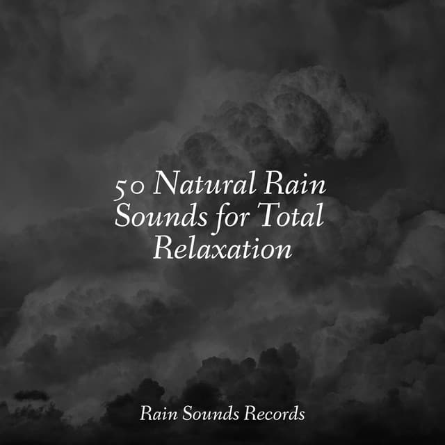 50 Natural Rain Sounds for Total Relaxation - Anxiety Relief