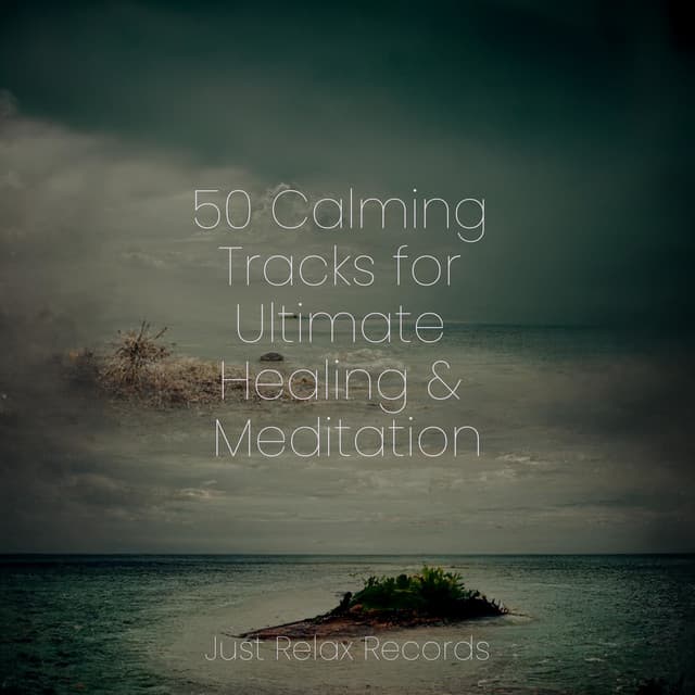 50 Calming Tracks for Ultimate Healing & Meditation - Pro Sound Effects Library