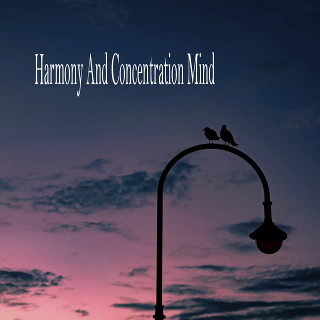 Harmony And Concentration Mind - Relaxing Music