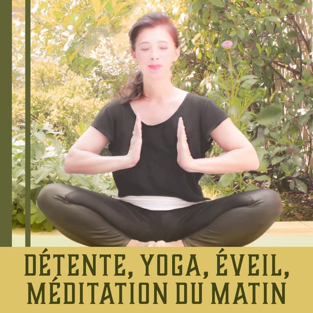 Détente, Yoga, Éveil, Méditation du matin - Musique pour soulagement du stress, Gagner du pouvoir, Sérénité tout la journée - Zen Matin Groupe