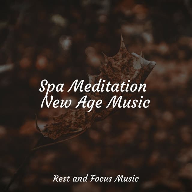 Spa Meditation New Age Music - Deep Focus