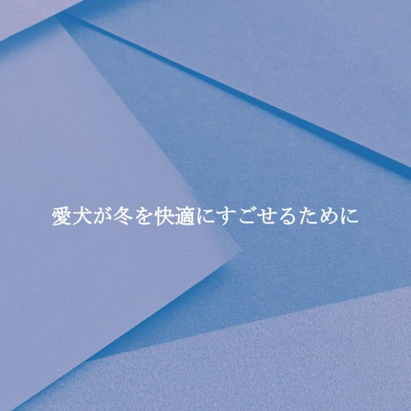 愛犬が冬を快適にすごせるために - Dinner Music Classics