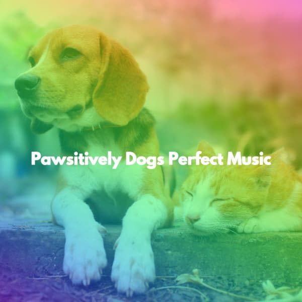 Pawsitively Dogs Perfect Music - Smooth Jazz