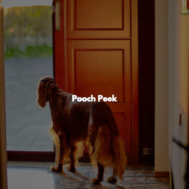 Pooch Peek - Soothing Classic Bossa Nova