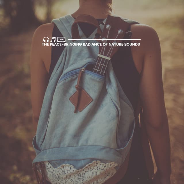 The Peace-bringing Radiance of Nature Sounds - Sounds Of The Earth